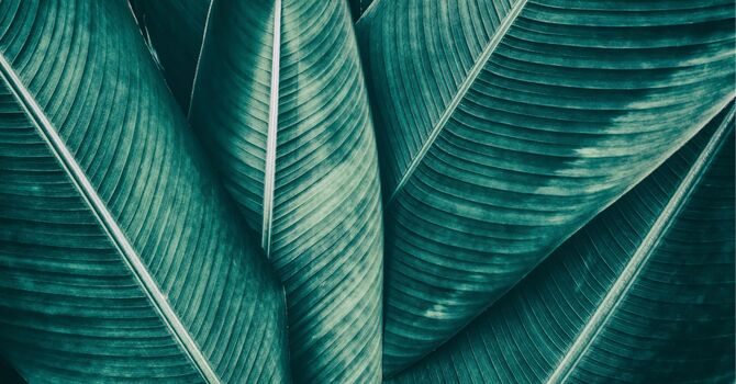 Lume-Core Activation