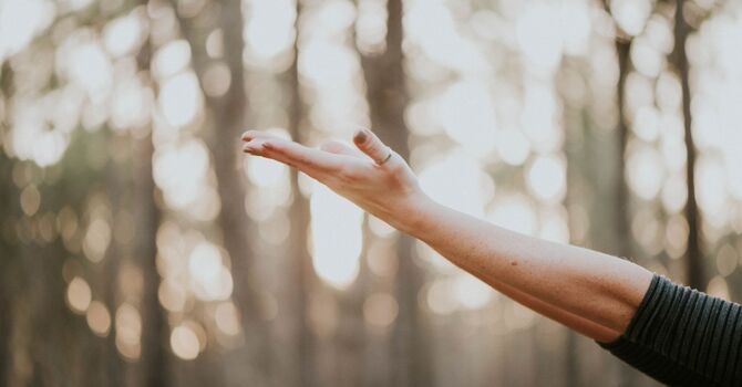 Lume-Core Activation